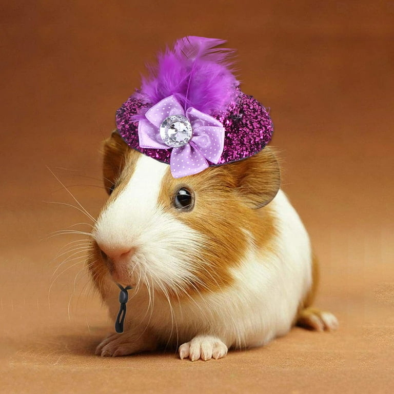 Pet Halloween Costumes Hamster Dress Up Pet Costumes Halloween Pet Halloween Costumes Large Breed Halloween Costumes for Cats Purple One Size Walmart