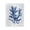 Blue Algae Coral, variant on Stupell Industries Coastal Red Coral Sprig Canvas Art, 16 x 20, by Patti Mann