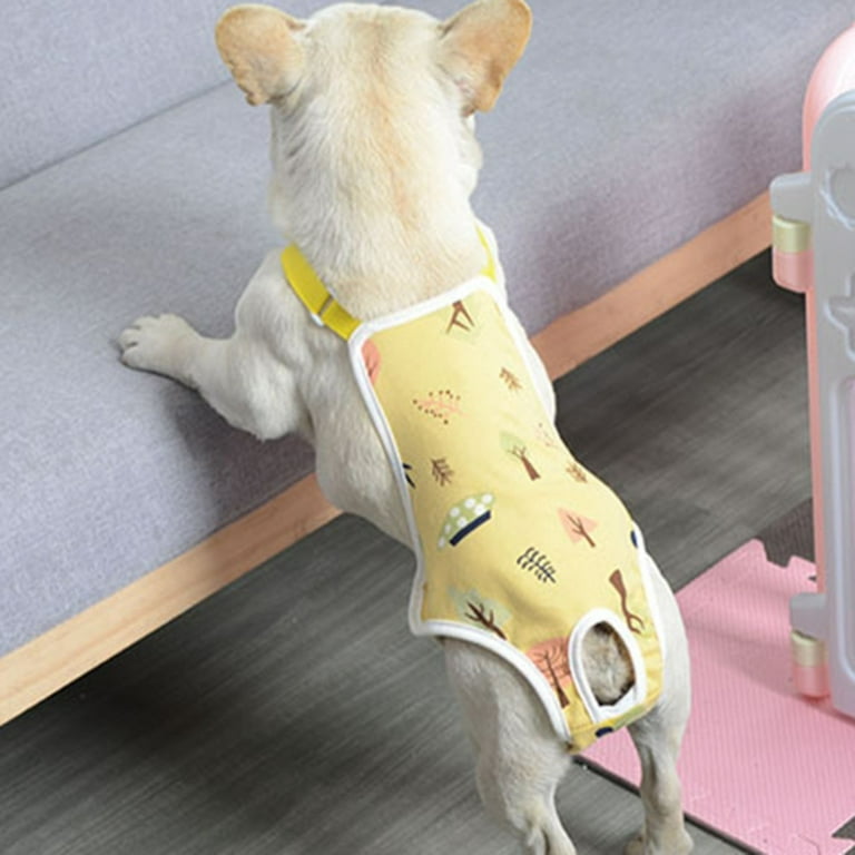 Dog underwear top for period