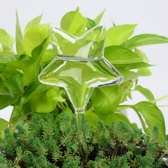MesaSe Ampoules d'Arrosage pour Plantes Dispositif d'Arrosage Automatique des Globes de Fleurs Pot de Plante d'Intérieur Ampoules Aqua Boules Arroseur de Jardin Système d'Irrigation Goutte à Goutte Clair W