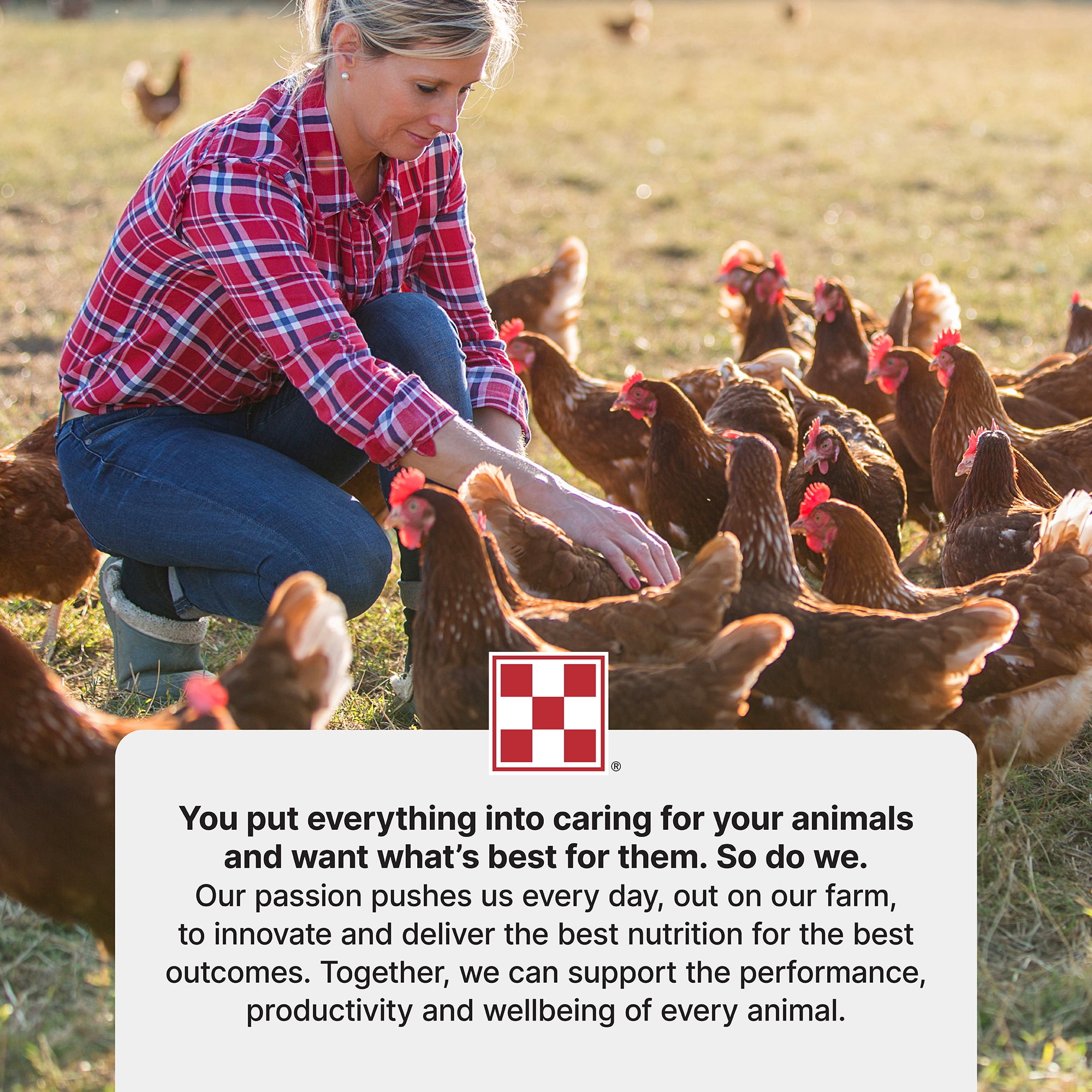 Purina® Layena®+ Omega-3 Chicken Feed, 40 Pound Bag
