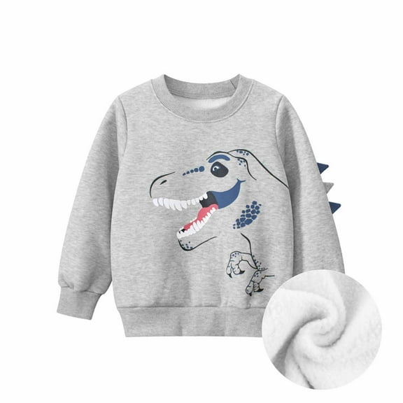 Odeerbi Toddler Boys Girls Crewneck Sweatshirts Dinosaur Pullover Sweatshirts New Fashion Children's Dinosaur Printed Long Sleeve Round Neck Sweatshirt Gray