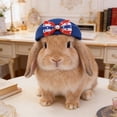 thumbnail image 6 of 4th of July Decorations Pet Bowknot Hat,Patriotic Pet Apparel Hat Headband Decor For Small Medium Dogs Cats Party,Photo Shooting,Holiday Gathering,5.12x4.33x1.26 Inch, 6 of 6