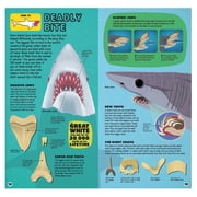 Discovery: Build the Shark (Hardcover)