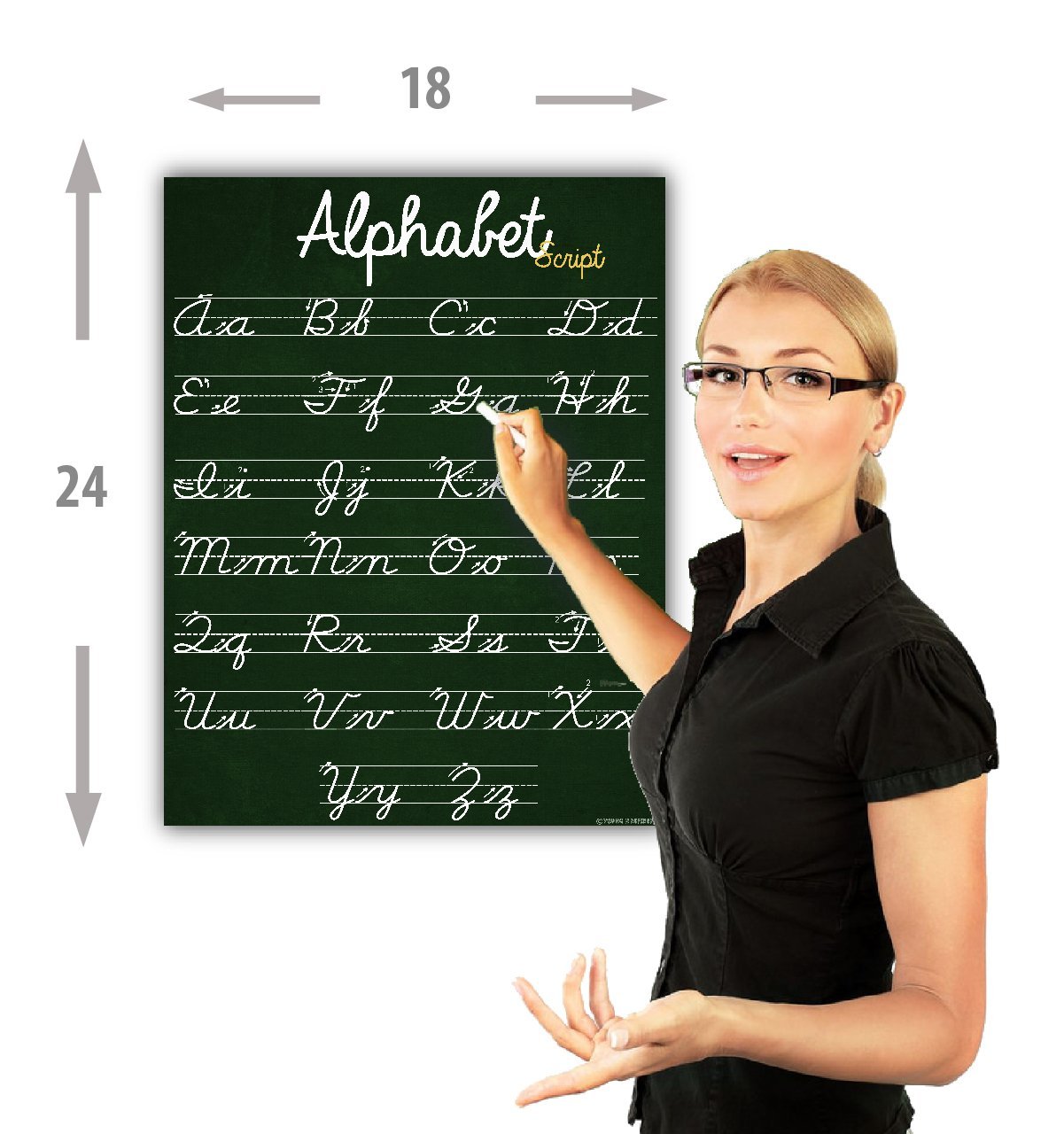 ABC Cursive Script Alphabet poster STANDARD SIZE chart LAMINATED teaching classroom decoration Young N Refined - image 3 of 4