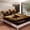 Brown, variant on Erosebridal Cartoon Dinosaur Full Size Sheets for Kids Boys Girls, Dino Letter N Bed Sheets, 4pcs