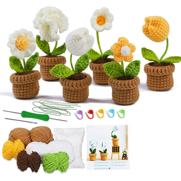 6Pcs Crochet Potted Kit, Crochet Kit for Beginners Adults and Kids