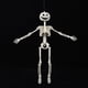 thumbnail image 1 of Posable Halloween Skeleton Decorations Poseable Skeleton With Movable Joints For Halloween Indoor/Outdoor Haunted Houses Graveyard Decor, 1 of 1