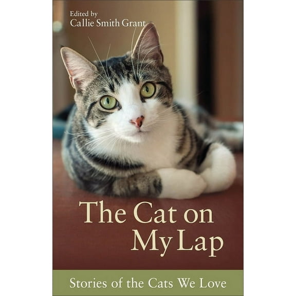 The Cat on My Lap: Stories of the Cats We Love, (Paperback)