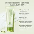 thumbnail image 2 of Limpiador facial Aloderma Ultra Hidratante con 75% de aloe vera 100 ml, 2 of 9