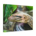 thumbnail image 2 of Anaconda Front Side View Anaconda Dangerous Outside Wall Art Ready To Hang Unframed, 2 of 18