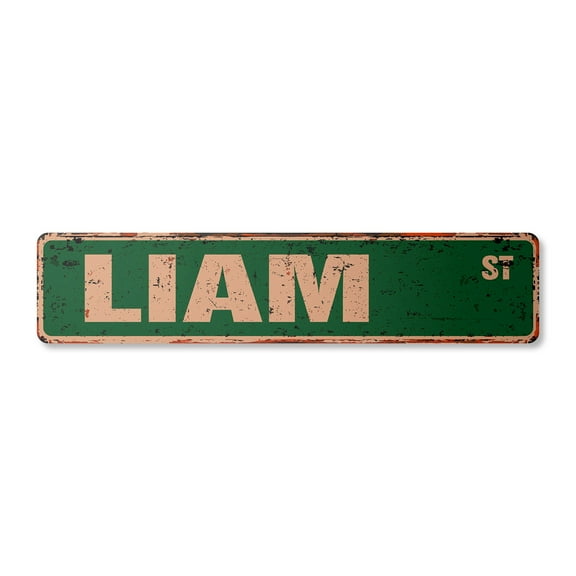 LIAM Vintage Plastic Street Sign Childrens Name Room Sign | Indoor/Outdoor |  24" Wide