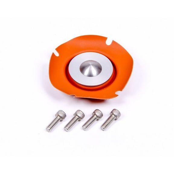 Aeromotive 13006 Regulator Service Kit, Carbureted