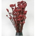 thumbnail image 3 of NOGIS 17.7 Inches Natural Preserved Millet Flowers Helichrysum Dried Bouquet Rice Flower for Home and Wedding Decoration (Red), 3 of 5