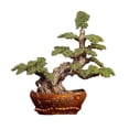 thumbnail image 1 of Adornos de cristal for árbol de la fortuna, artesanías decorativas for el árbol del dinero, obras de arte for la riqueza en el hogar y la sala de estar., 1 of 3