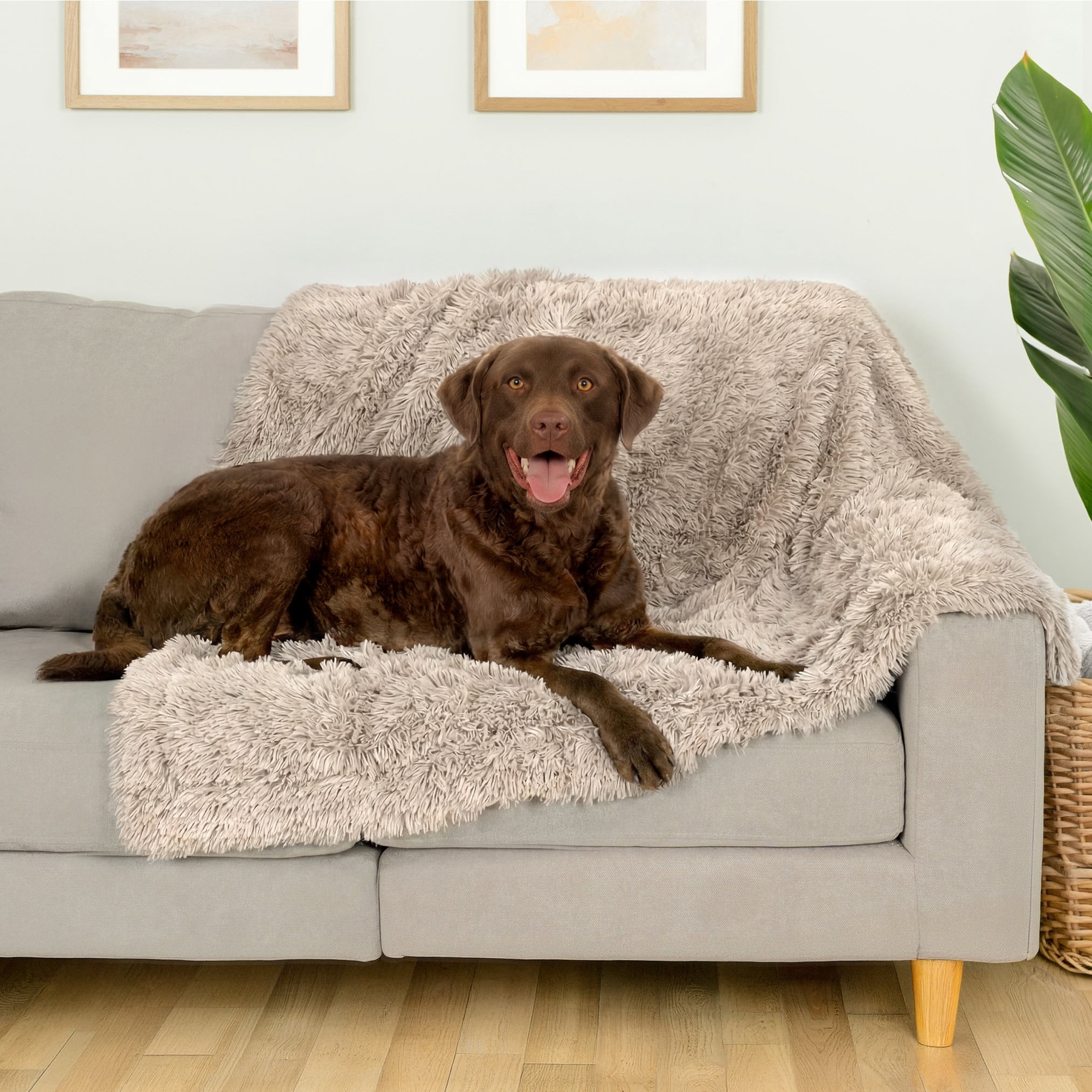 FurHaven Waterproof Throw Blanket for Dogs & Indoor Cats, Washable - Shaggy Plush Calming Long Faux Fur & Velvet Dog Blanket - Taupe, Large