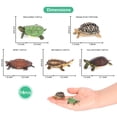 thumbnail image 3 of Volnau Mini Sea Turtle Figures 14PCS Animal Toys Figurines for Kindergarten Ocean Creature Cake Topper, 3 of 9