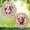 Option 1, variant on Funny Gnome Wind Spinner 10 Inch, Double Sided Outdoor Garden Decor