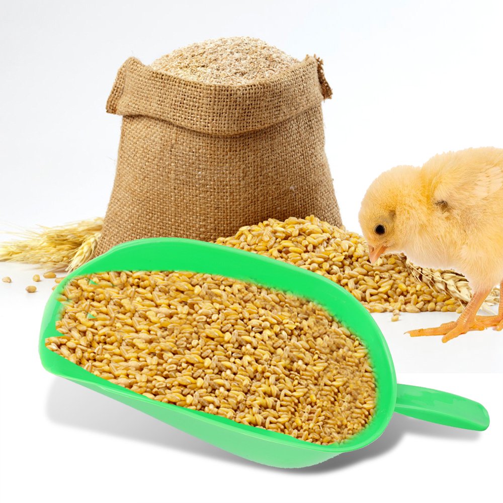 Tebru Feeding Tableware,Plastic Chicken Feed Spoon Bird Chicken To Feed