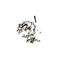 thumbnail image 1 of Replacement Complete Screw Set For Apple iPhone 13 Pro Max (A2641), 1 of 1