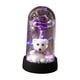 thumbnail image 2 of Luz nocturna conservada de Rose Bear para el Día de San Valentín | Cúpula de Cristal Decorativa Ambiental LED | Adorno romántico de escritorio | Flores de plástico moradas, blancas, azules, rojas, 2 of 6