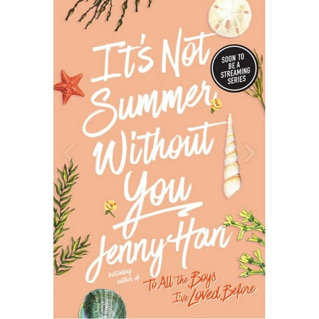 It's Not Summer Without You (Paperback)