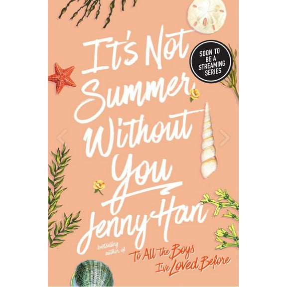 It's Not Summer Without You (Paperback)