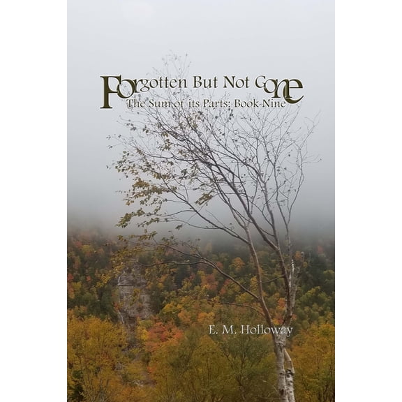 Forgotten But Not Gone: The Sum of its Parts: Book Nine, (Paperback)
