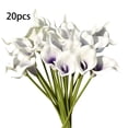 thumbnail image 1 of Paquete de flores artificiales Flor de simulación Adorno de mesa de oficina en casa Decoración floral falsa, Negro 20 piezas Advancent HA8913-04B, 1 of 6