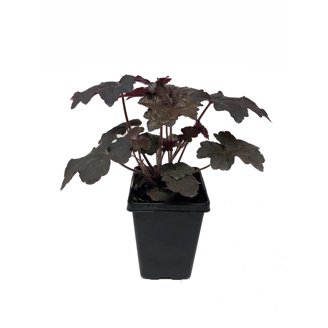 indoor standing planter Tall Mid Century Modern Wood Plant Stand with Pot — Indoor Corner Plant Stand for Large Plants main image 1