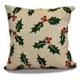 thumbnail image 2 of Simply Daisy 16" x 16" Allover Holly Floral Print Pillow, 2 of 2