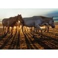 thumbnail image 2 of Taksing 32x24 White Modern Wood Framed Museum Art Print Titled - AeUaeB, 2 of 4