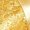 Gold, variant on Aiihoo Kids Modern Jazz Dance Party Sets Girls Short Sleeve Metallic Shiny T-shirt Crop Tops with Pants Outfits Hot Pink 12