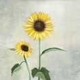 thumbnail image 2 of Purinton, Julia 20x20 Gold Ornate Wood Framed with Double Matting Museum Art Print Titled - Sunny Blooms I, 2 of 4