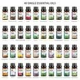thumbnail image 4 of 10ML Pure Natural Plant Essential Oils Aroma Essential Oil Diffuser Eucalyptus Vanilla Mint Lavender Rose Tea Tree Essential Oil, 4 of 5