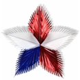 thumbnail image 1 of Beistle - 50504-RWB - Feuille Starburst- Pack de 12, 1 of 1