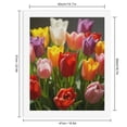 thumbnail image 2 of Paint by Numbers Kit for Adults, Bright Spring Tulips In Bloom Paint by Numbers, Easy Paint by Numbers Kit for Adults Beginner, DIY Adult Paint by Number Kits on Canvas, Home Decor, 2 of 7