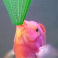 thumbnail image 4 of 8 Pcs Cônes de vers Rouges Vivants pour Aquarium Mangeoire en Plastique pour Crevettes de Saumure Congelées avec Ventouses, 4 of 4