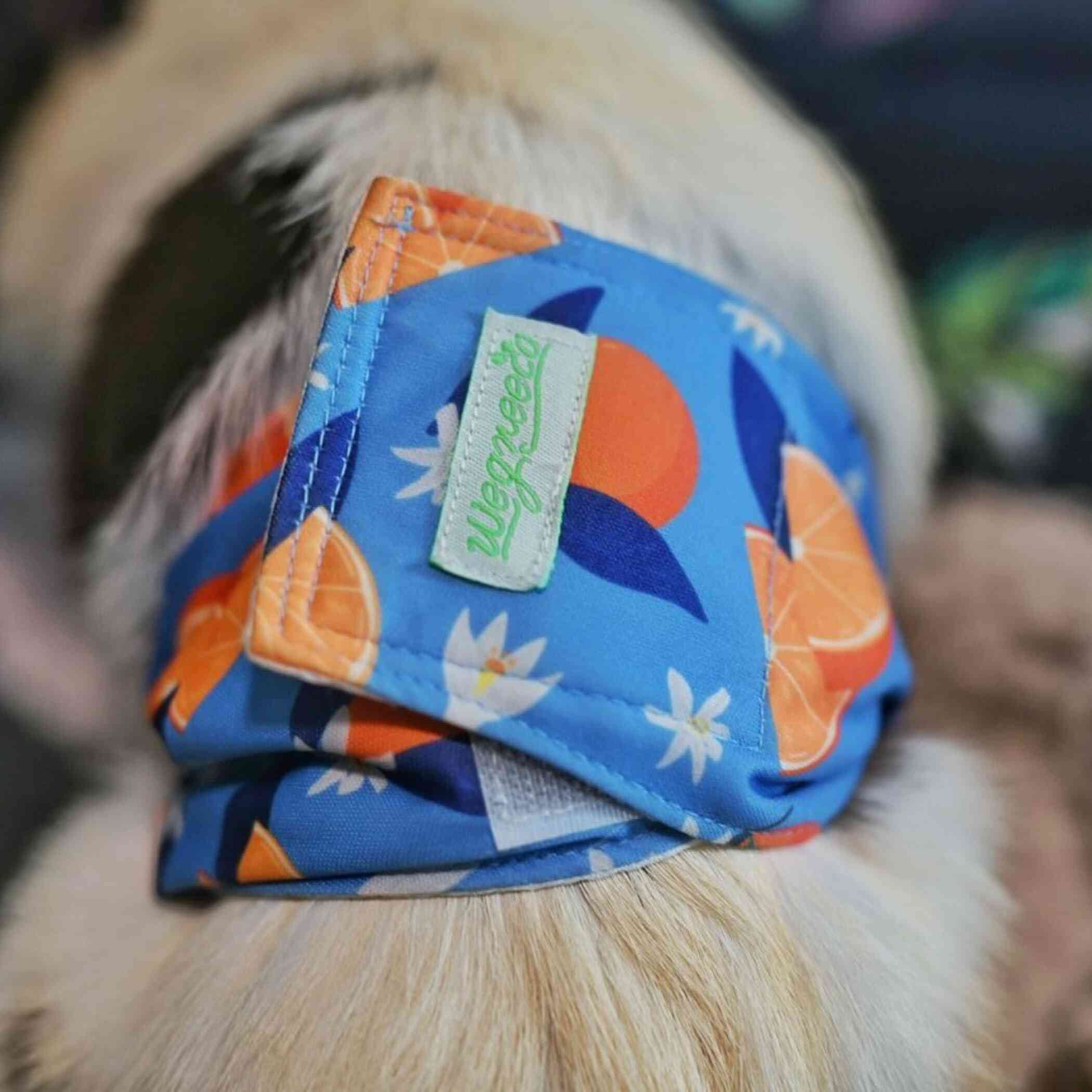 Wegreeco Pack of 4 Reusable Male Dog Belly Band, Washable Premium Male Dog Diapers, Super-Absorbent Dog Wraps(Fruit, Adventure, Small)