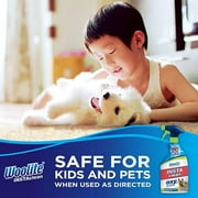 Woolite INSTAclean Pet Stain Remover, 22 oz, 1684W
