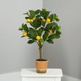 thumbnail image 3 of Nearly Natural 24in. Lemon Artificial Tree, 3 of 3