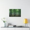 thumbnail image 6 of Misty Green Pine Tree Forest Nature Wilderness Photography Canvas Wall Art for Home Decor Ready-to-Hang, 6 of 18