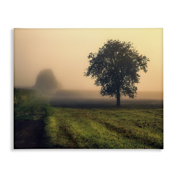Stupell Industries French Country Misty Morning Sunrise Countryside Tree Field Canvas Art, 20 x 16, by Dora Artemiadi