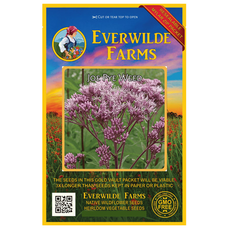 Everwilde Farms - 2000 Joe Pye Weed Native Wildflower Seeds - Gold Vault Jumbo Bulk Seed