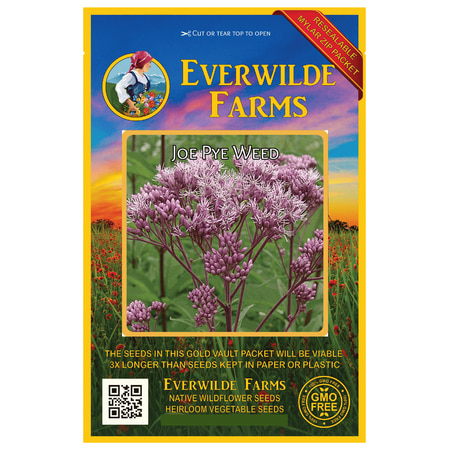 - Everwilde Farms - 2000 Joe Pye Weed Native Wildflower Seeds - Gold Vault Jumbo Bulk Seed Packet