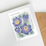 Mountain Flora USPS Forever Postage Stamp 1 Book of 20 US First Class Wedding Celebration Anniversary Flower Party (20 Stamps)