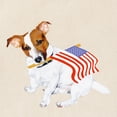 thumbnail image 3 of CafePress - Jack Russell With USA Flag Tote Bag - Unisex Canvas Tote Bag, Beige, 1-Piece, 3 of 8