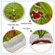 thumbnail image 5 of Mat Navidad Falda 31 Pulgadas Ornamentos Verde, 5 of 9