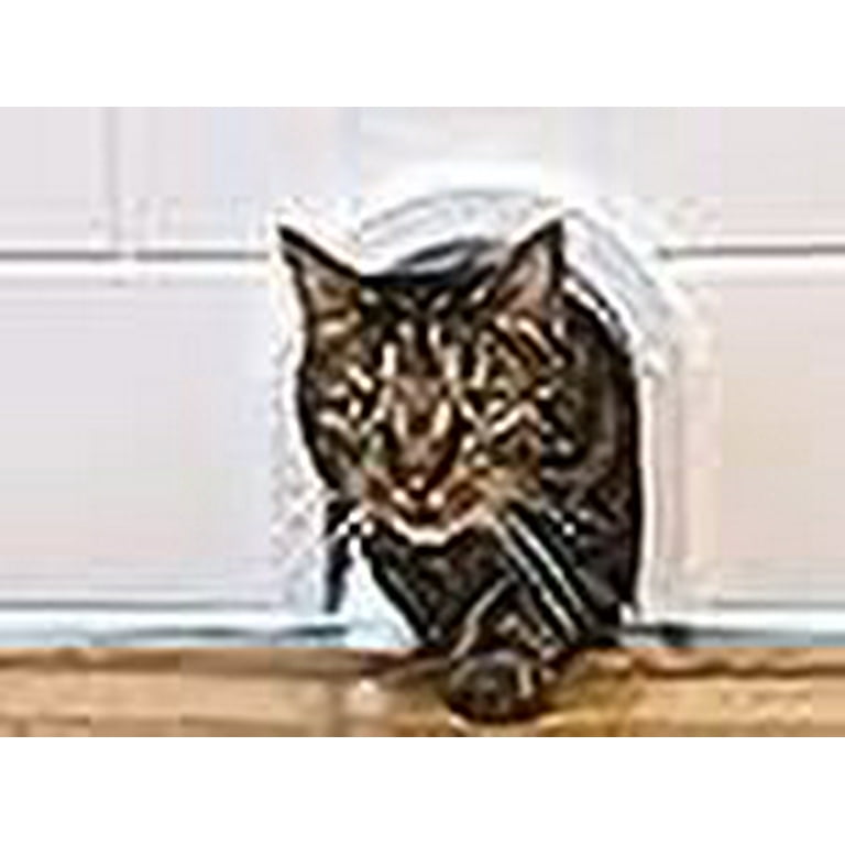 Cathole cat door with brush hotsell