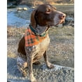 thumbnail image 2 of Country Brook Petz® Premium Nylon Dog Collar and Leash - Green, Large, 2 of 7